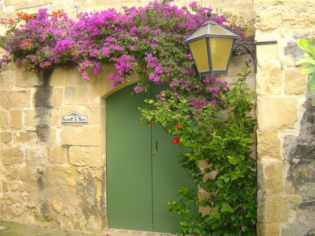 "Steves Villas" Villa Ta Rosi Xagħra Zimmer foto