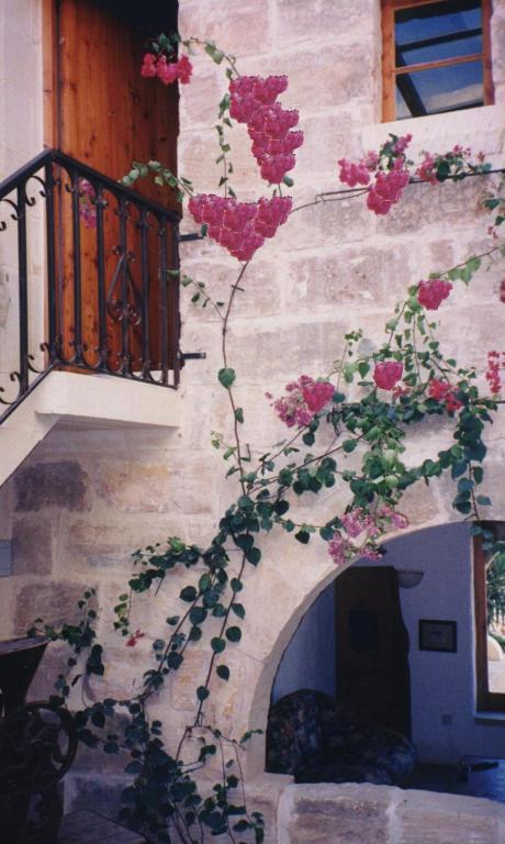 "Steves Villas" Villa Ta Rosi Xagħra Exterior foto